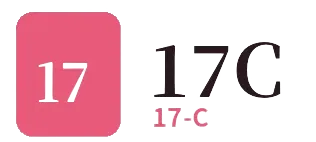 17C品牌标识